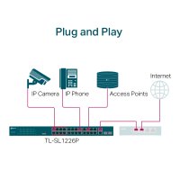 IP24 SWITCH POE 250