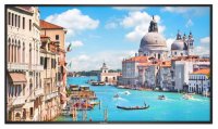 DS-D5055UC-C  - 55" 4K monitor