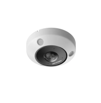 Hikvision DS-2CD63C5G1-IVS(1.29mm)(O-STD)