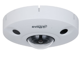 Dahua IPC-EBW81242-AS-IVC-S2