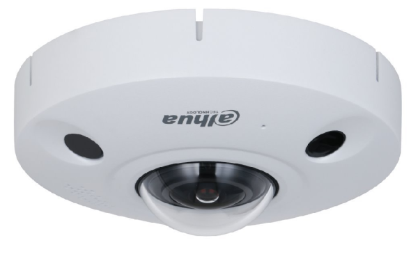 Dahua IPC-EBW81242-AS-IVC-S2