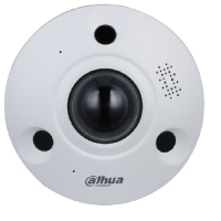 Dahua IPC-EBW81242-AS-IVC-S2