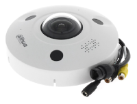 Dahua IPC-EBW81242-AS-IVC-S2