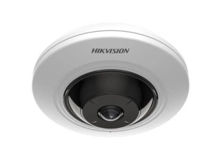 Hikvision DS-2CD2955G0-ISU(1.05mm)