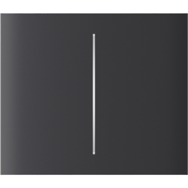 AJAX CenterButton 2-gang vertical Graphite Stredové tlačidlo